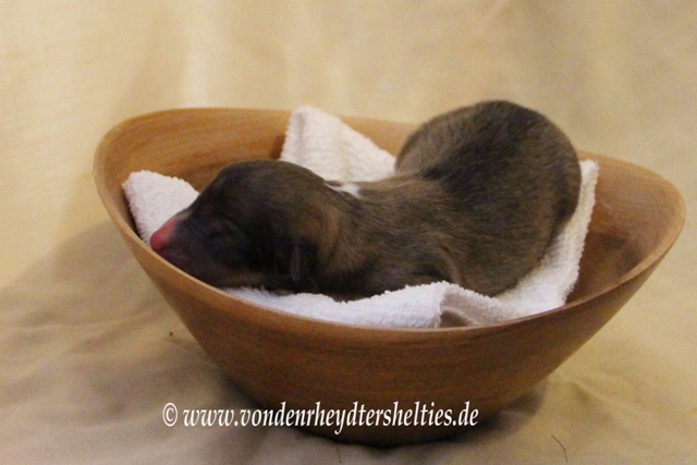 19.06.2014  14.00 Uhr  A-Wurf  A5